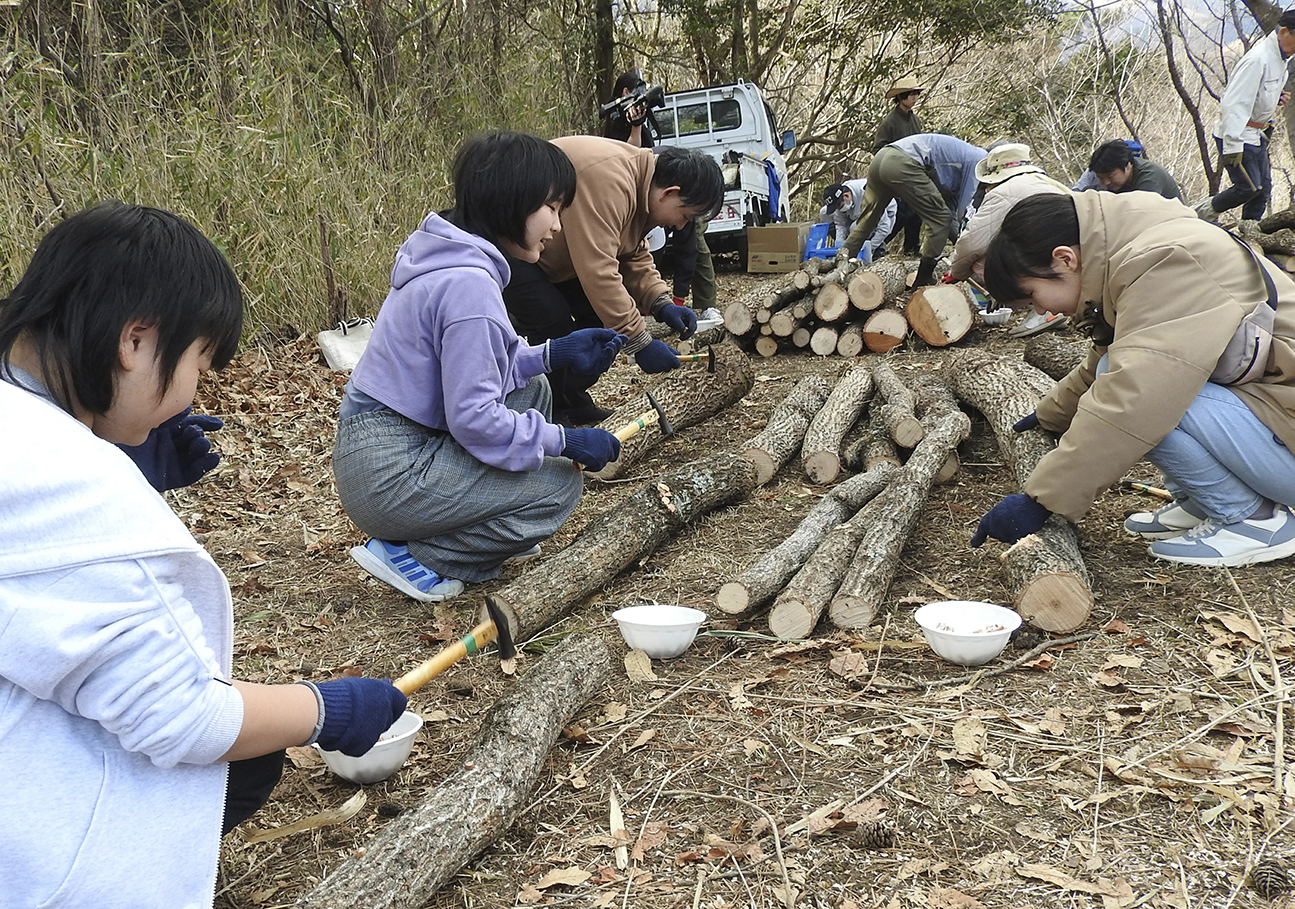 みどりの少年団が駒打ち体験 – 今日新聞